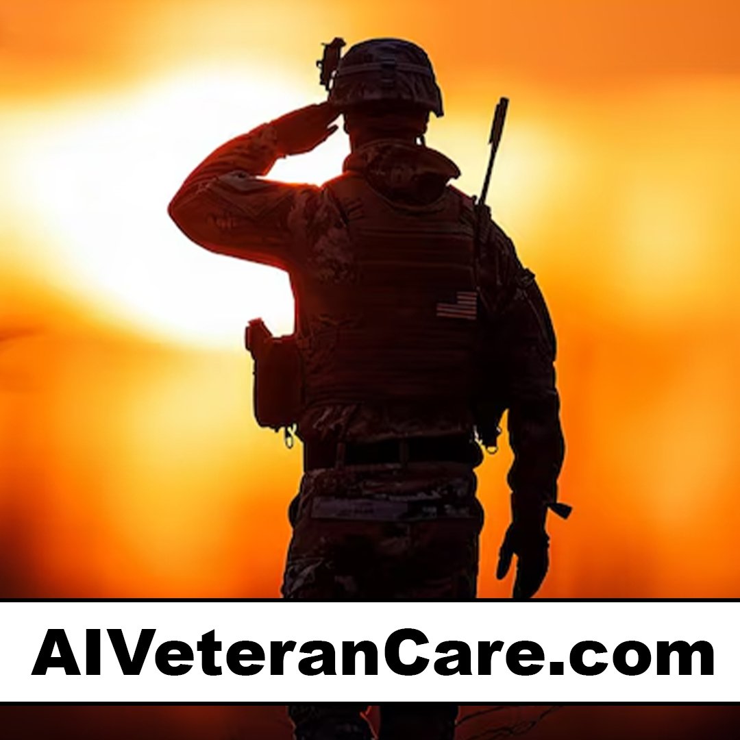 aiveterancare.com