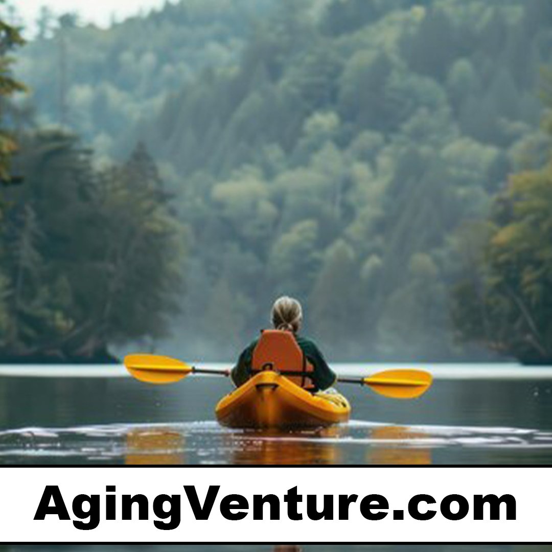 agingventure.com