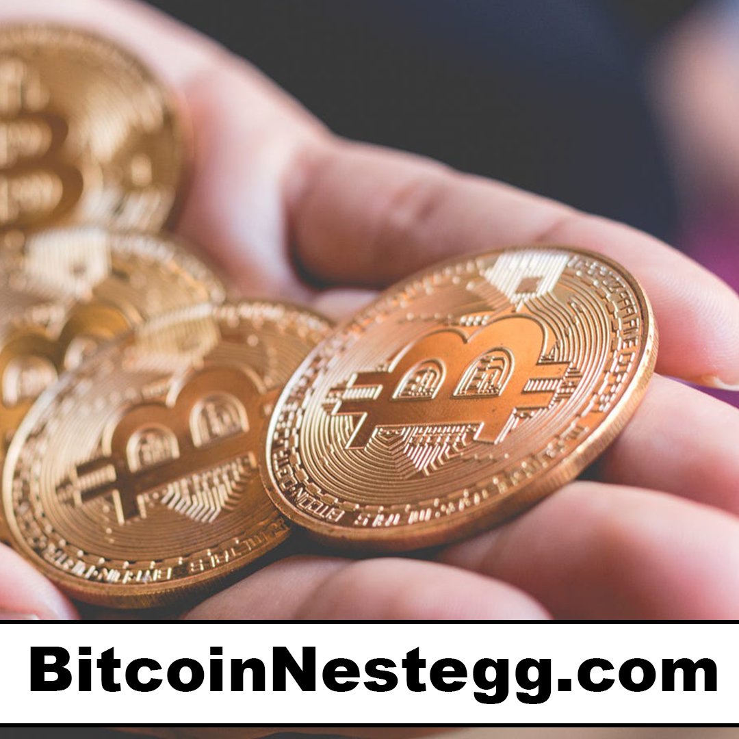 bitcoinnestegg.com