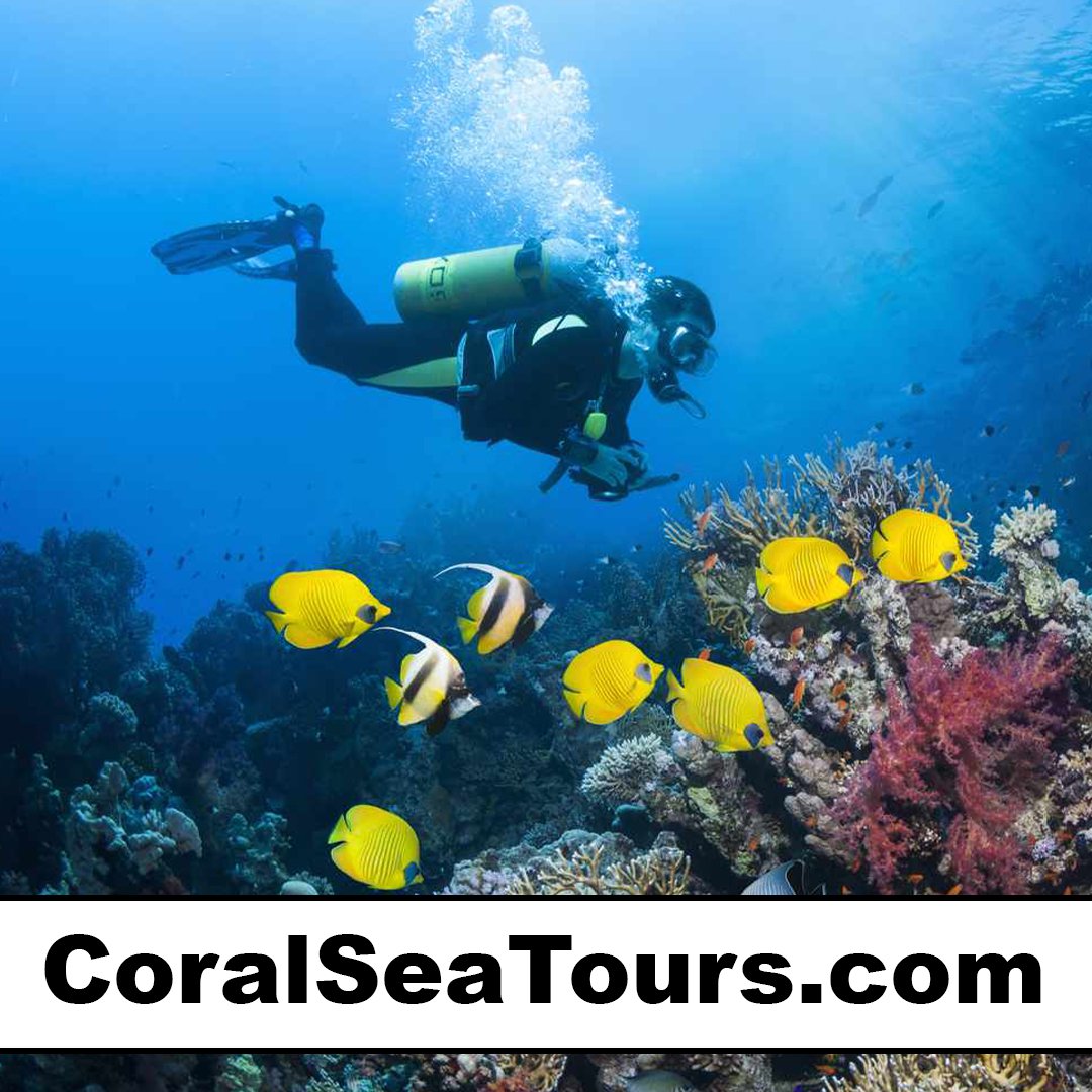 coralseatours.com