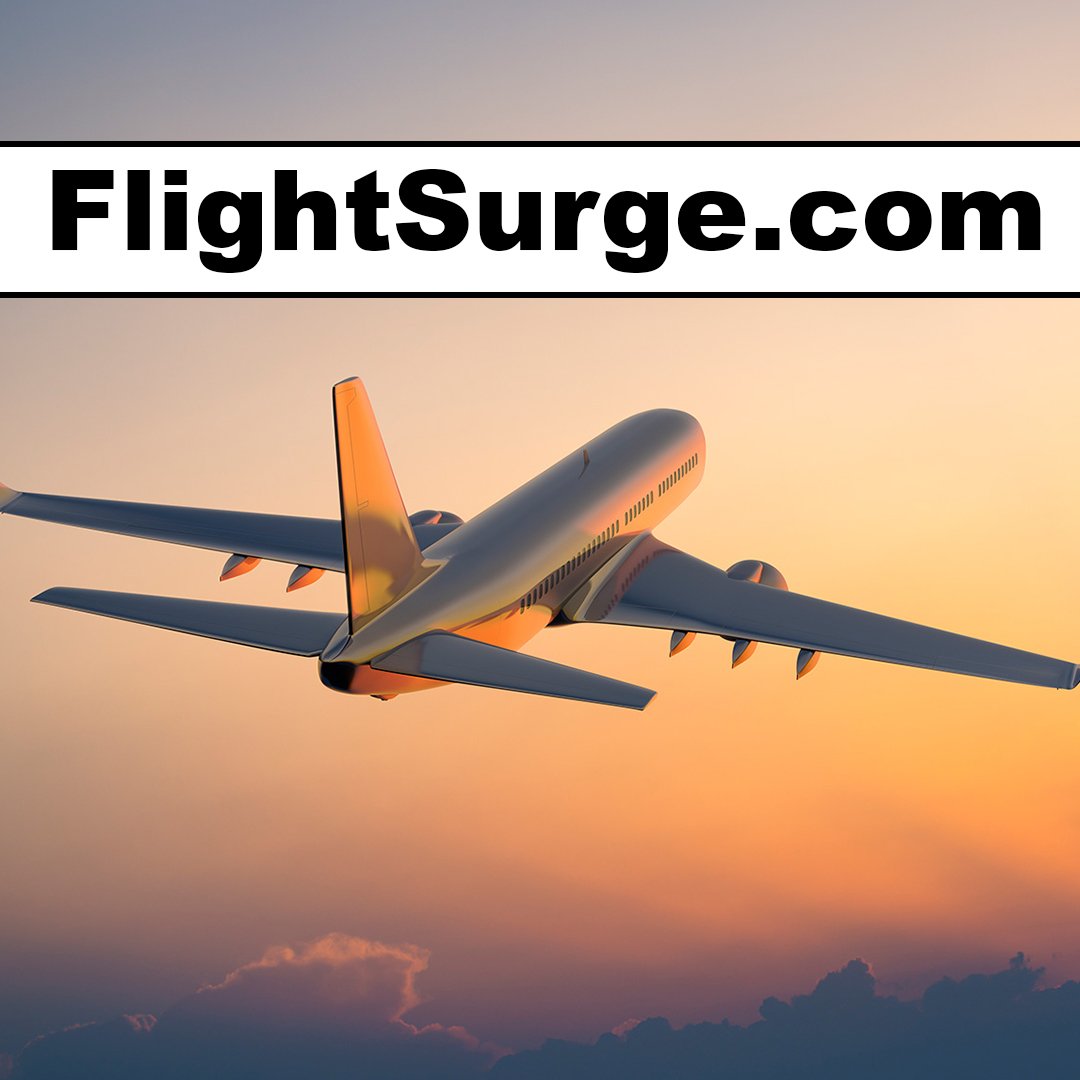 flightsurge.com