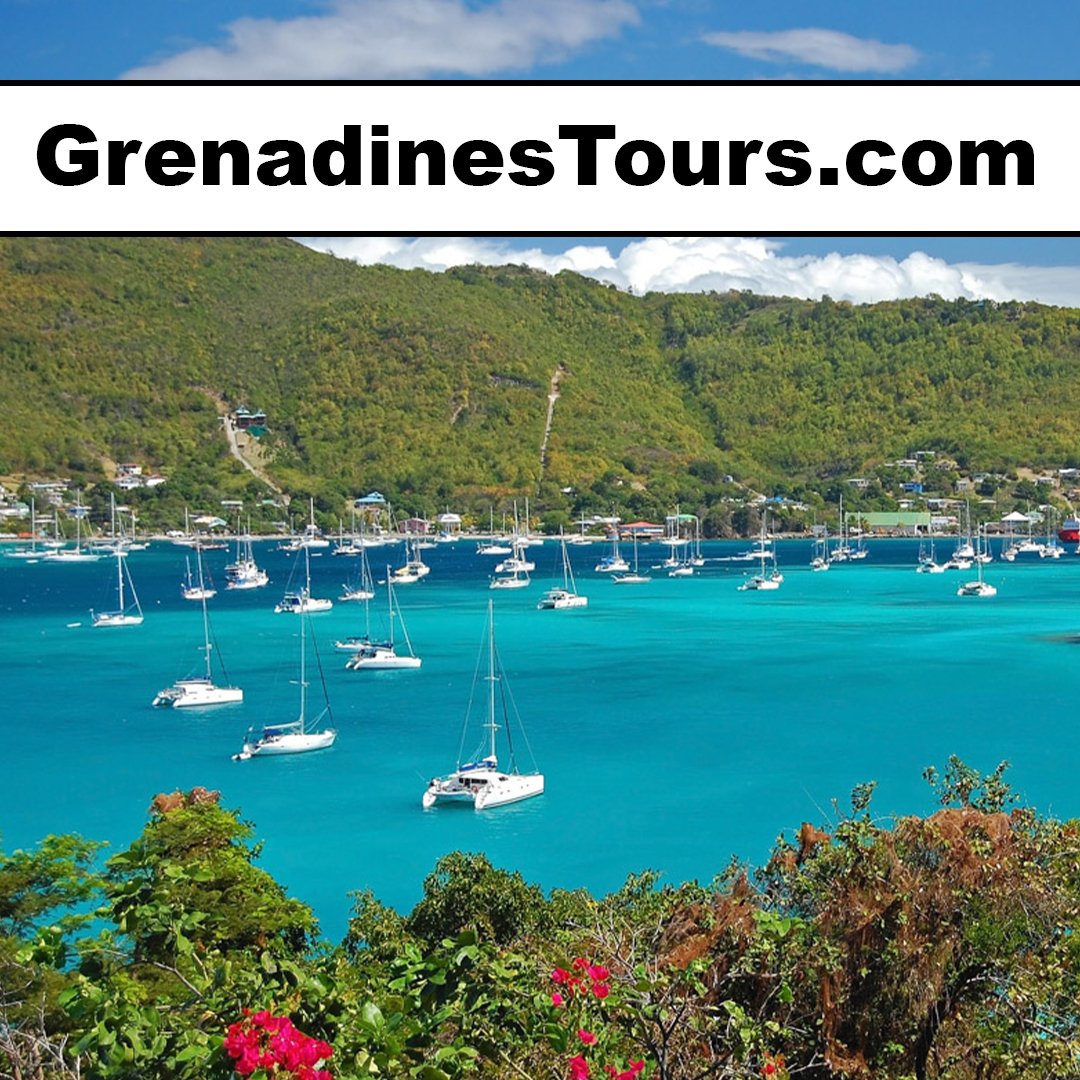 grenadinestours.com