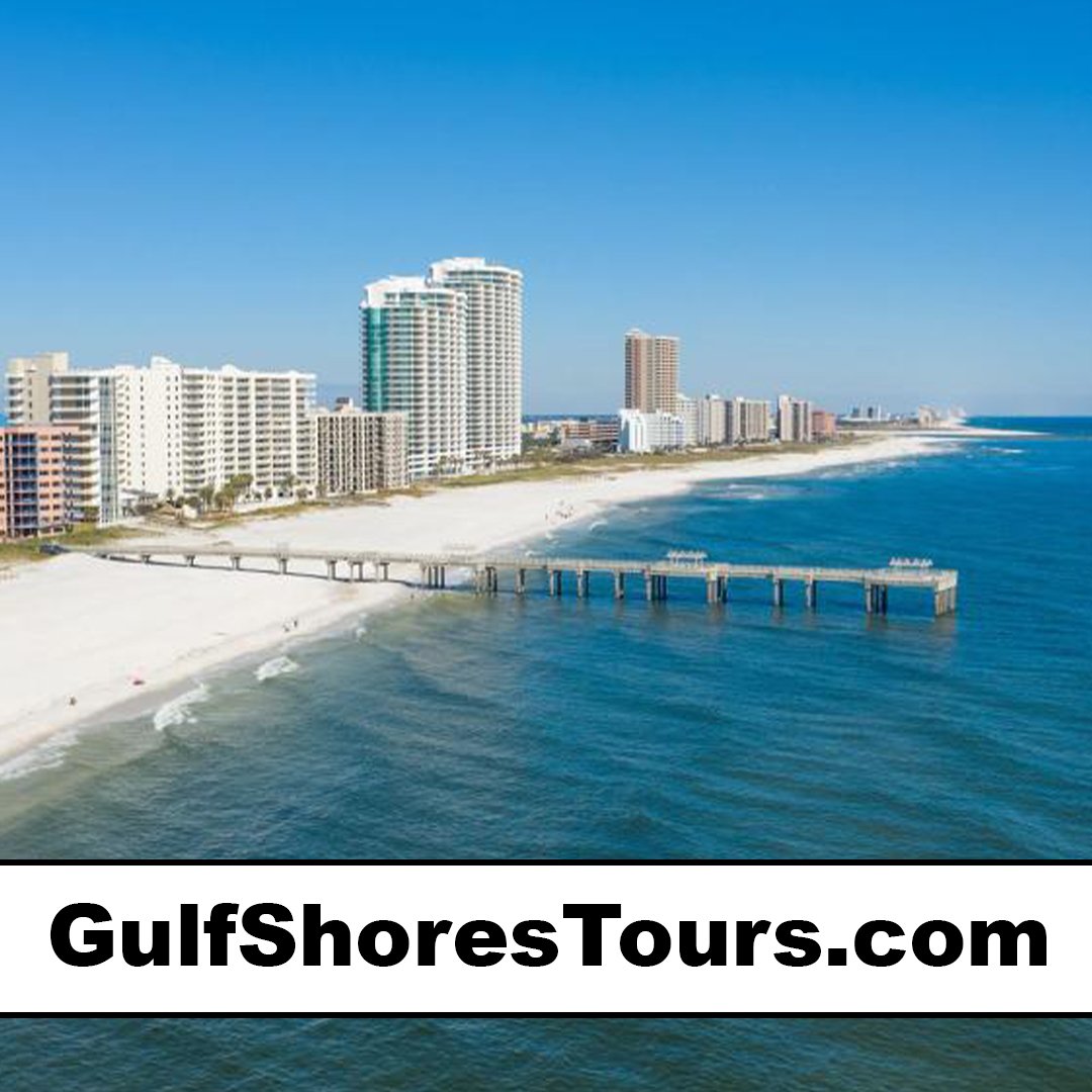 gulfshorestours.com