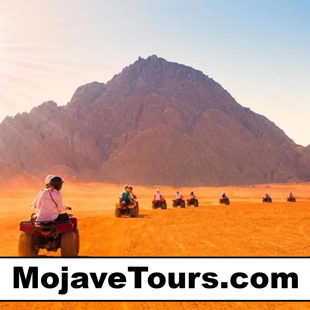 mojavetours.com
