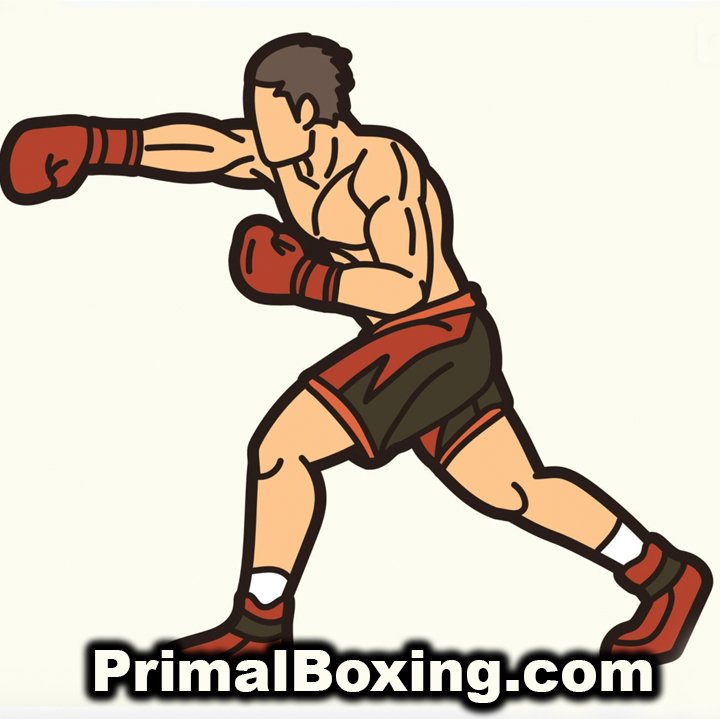 primalboxing.com