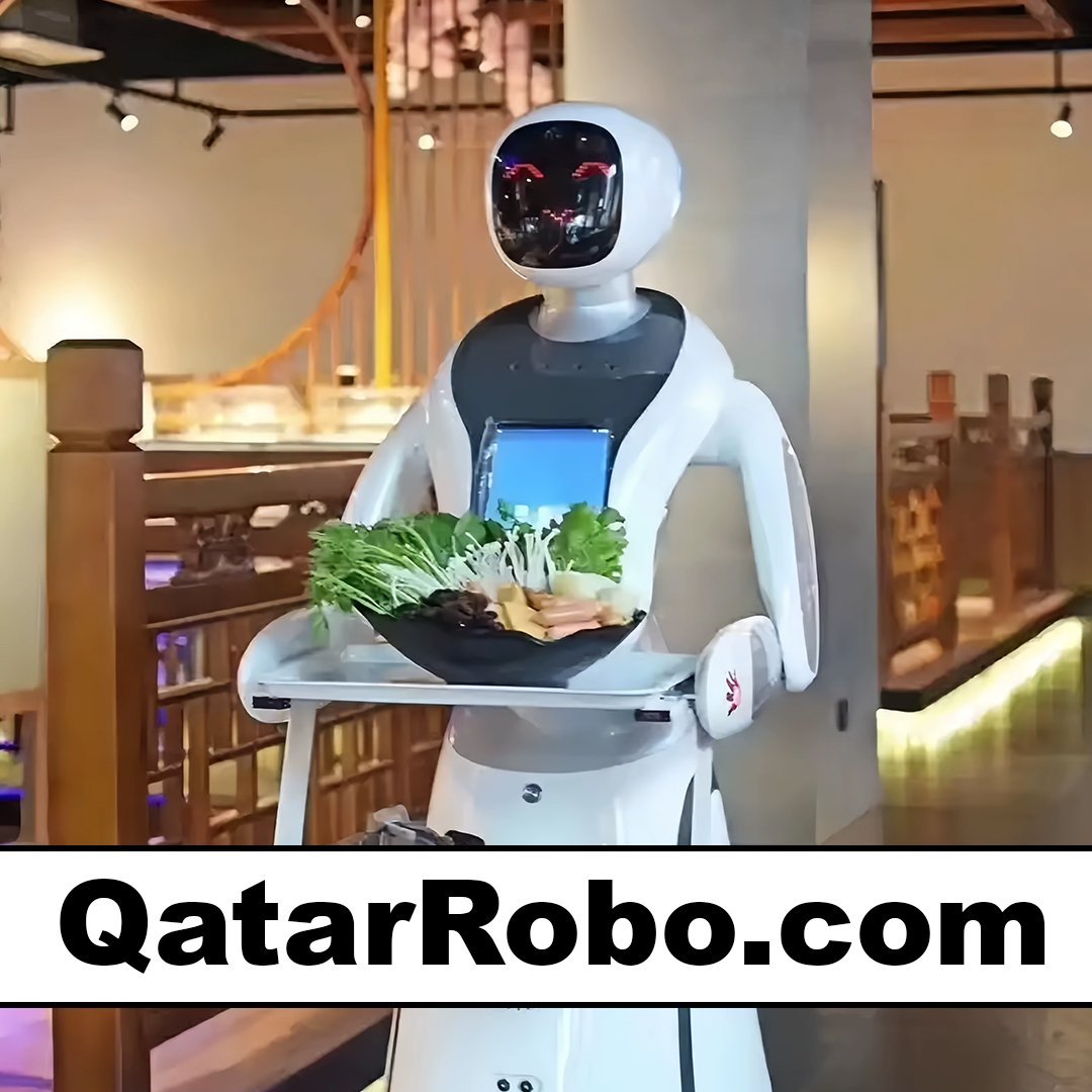 qatarrobo.com