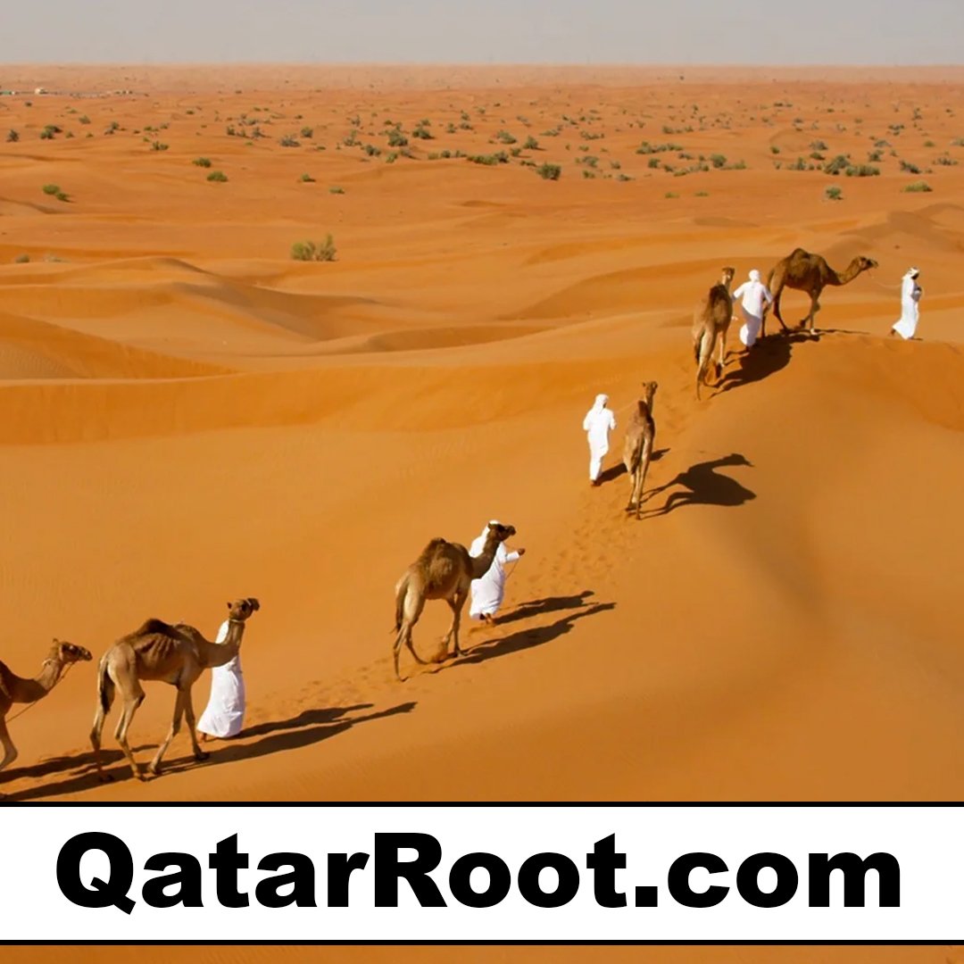qatarroot.com