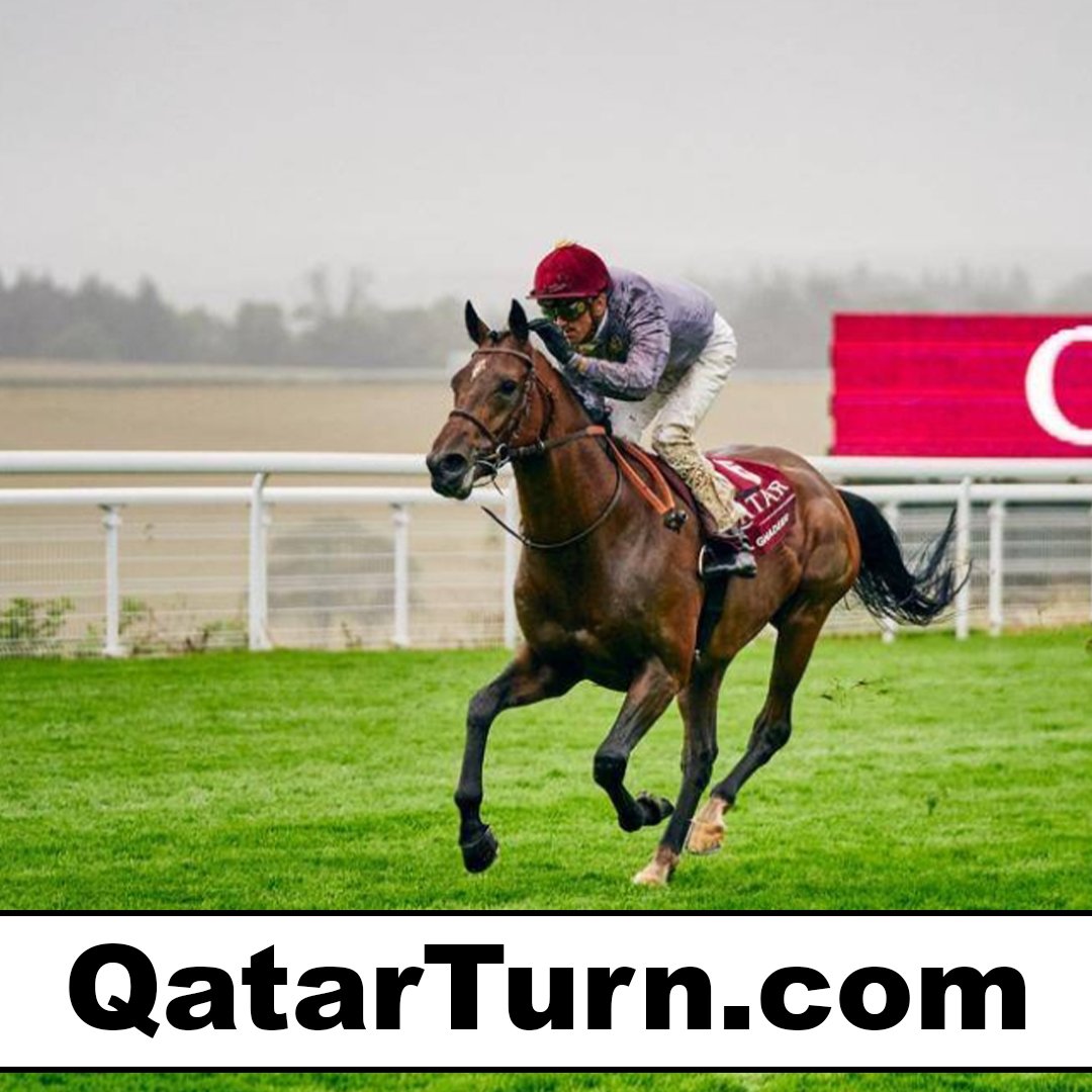 qatarturn.com