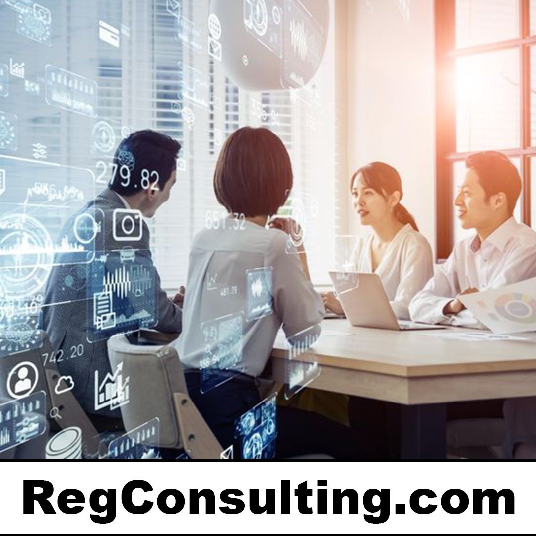 regconsulting.com