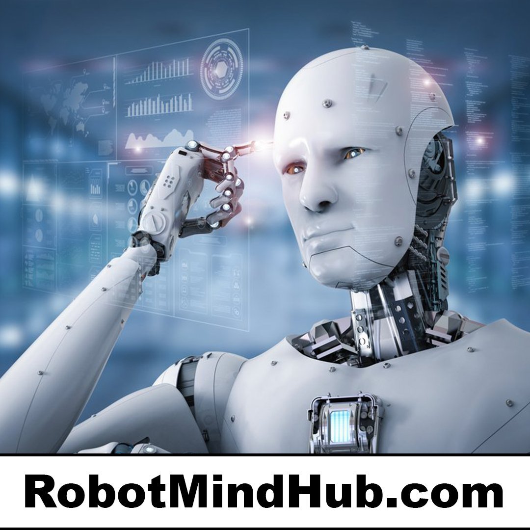 robotmindhub.com