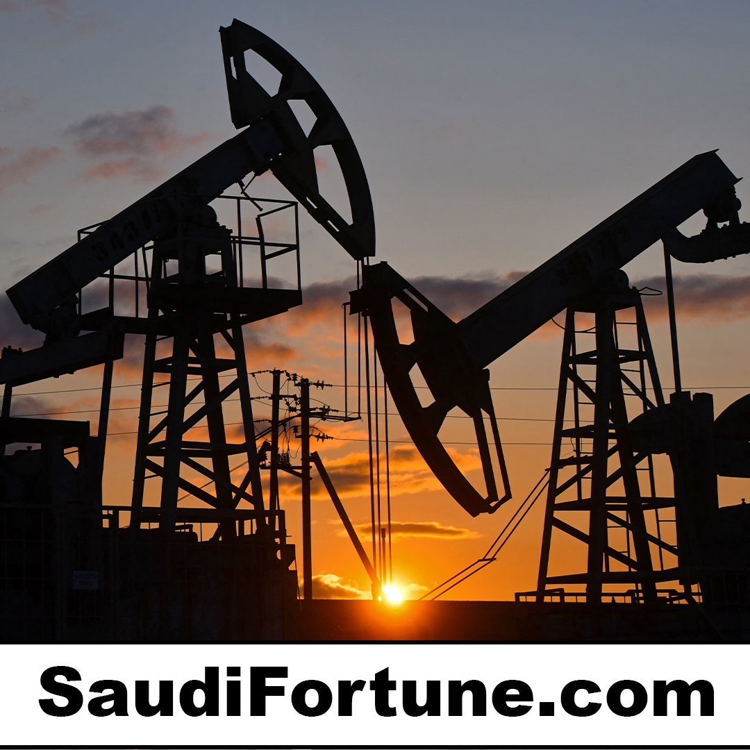 saudifortune.com