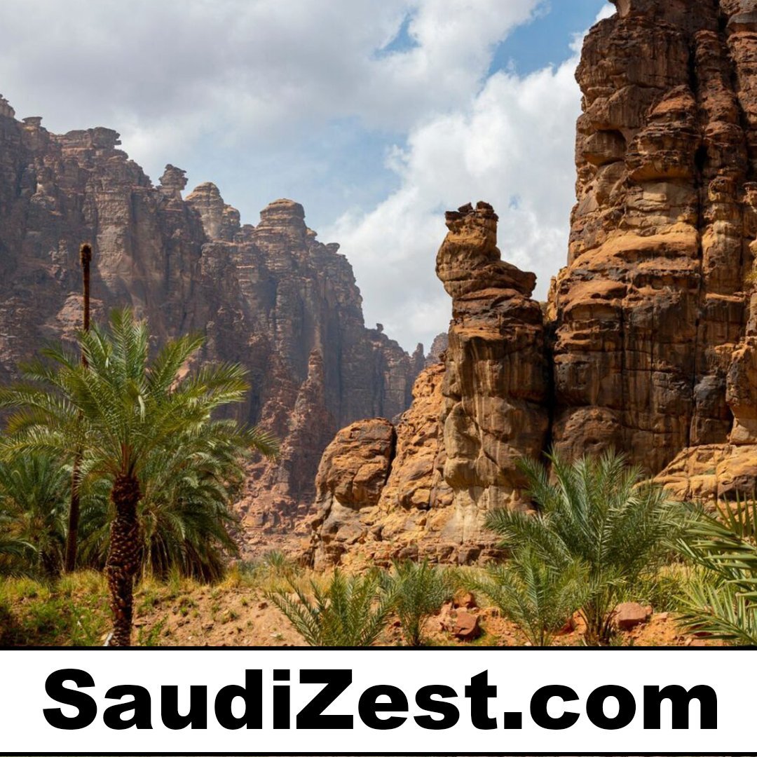 saudizest.com