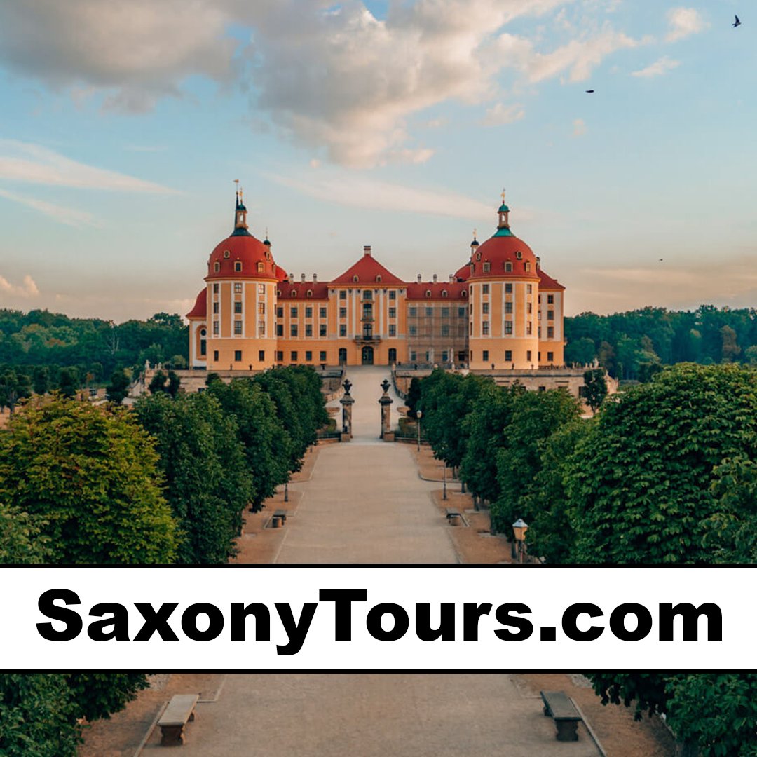 saxonytours.com