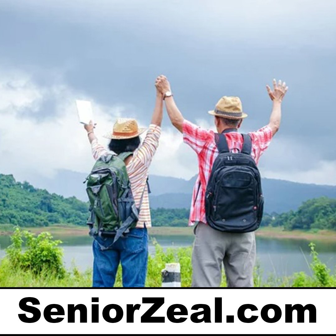 seniorzeal.com