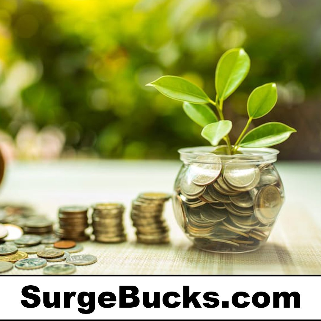 surgebucks.com