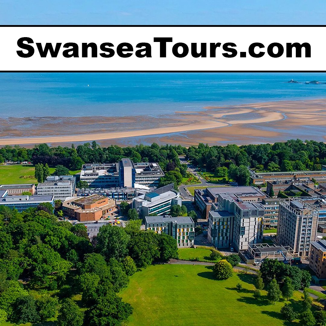 swanseatours.com