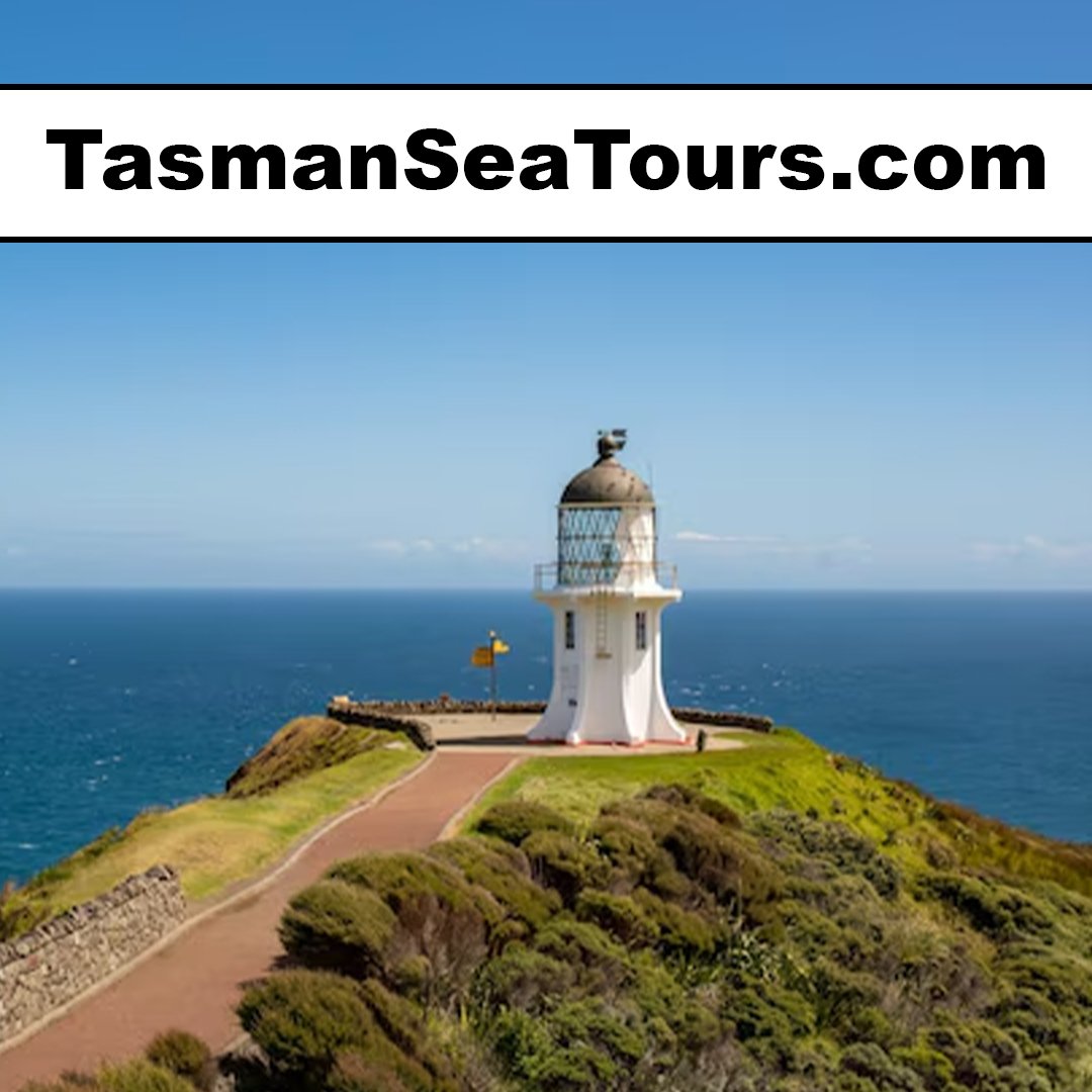 tasmanseatours.com