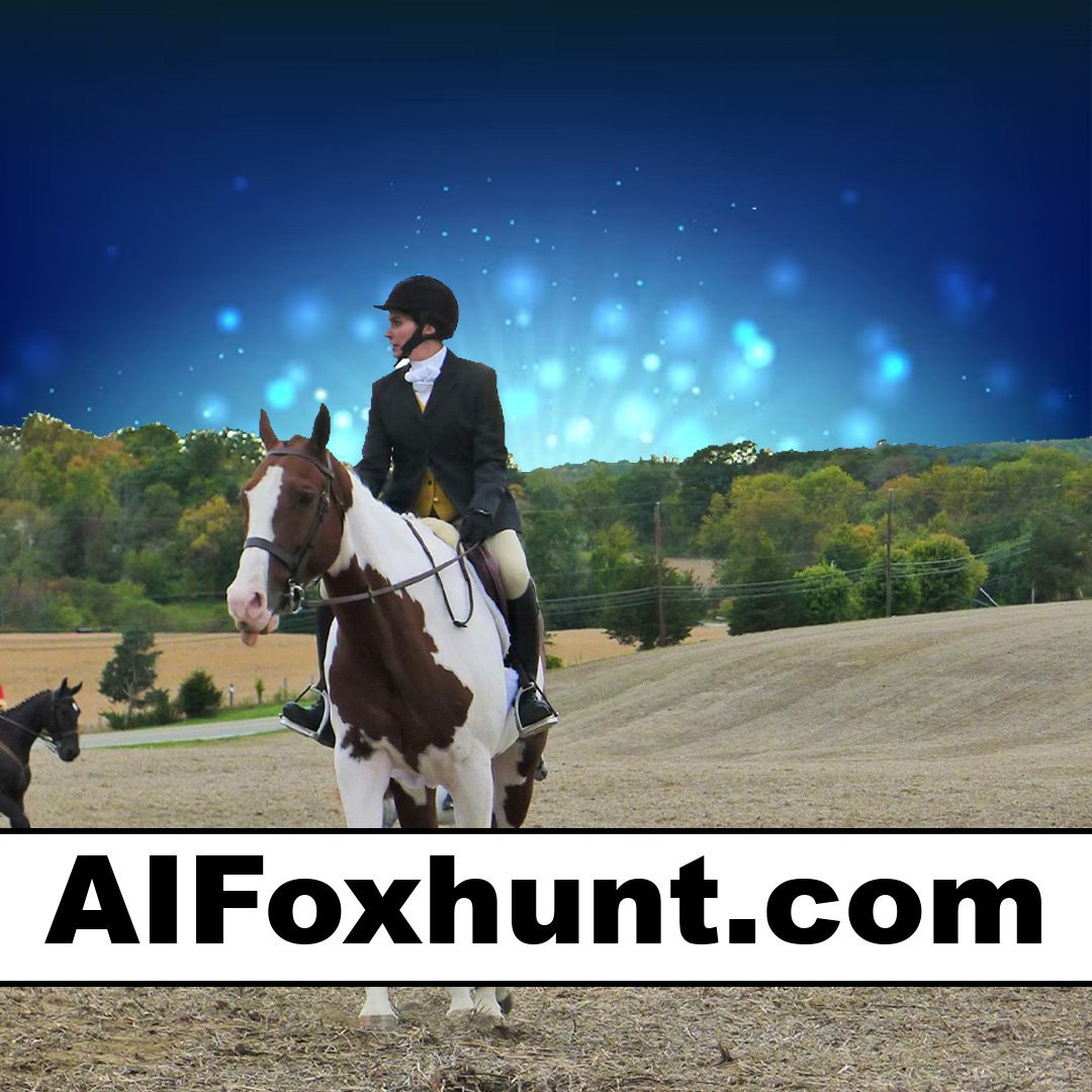aifoxhunt.com