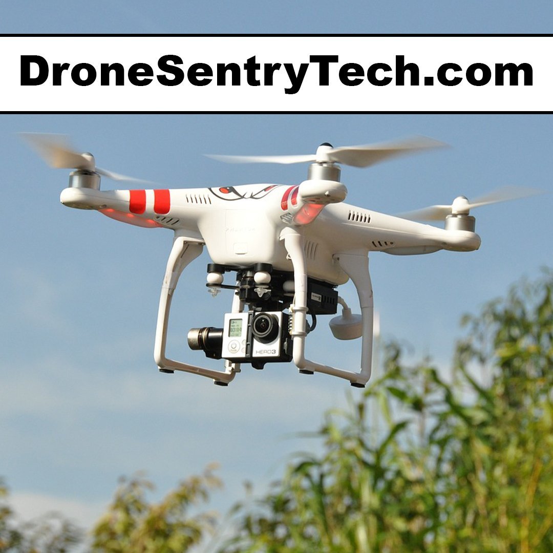 dronesentrytech.com