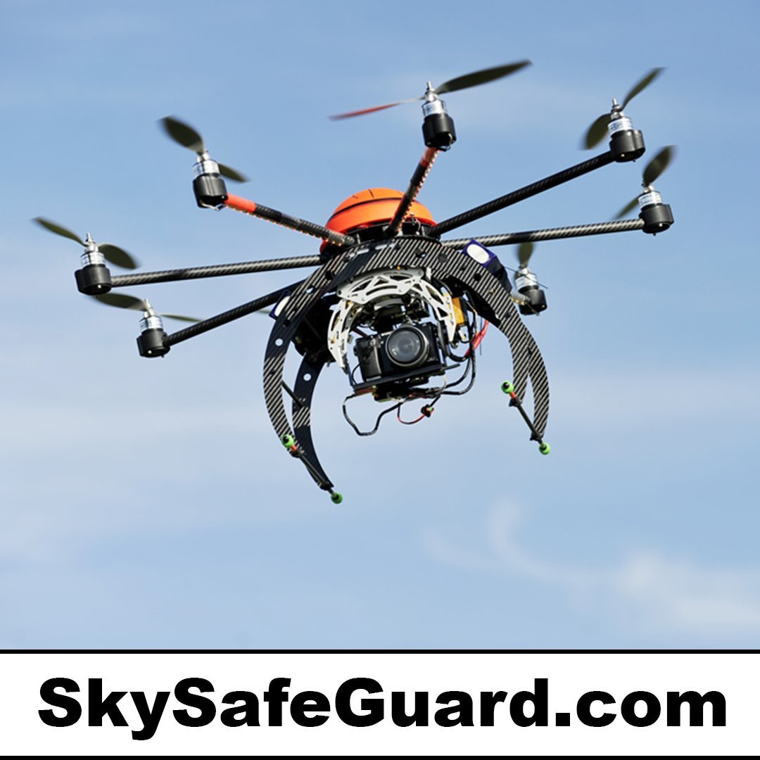 skysafeguard.com